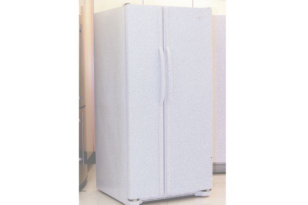 Κατηγορούνται ότι έκλεισαν το γιο τους στο ψυγείο μέχρι να πεθάνει