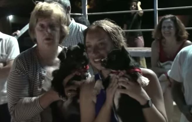 Ηγουμενίτσα-Κέρκυρα κολυμπώντας για τα αδέσποτα