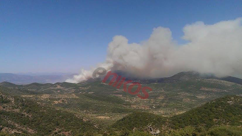 Οι δυνάμεις της Πυροσβεστικής που επιχειρούν στην Ζερμπίσια