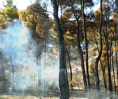 ΦΩΤΟ από την φωτιά στην Κόρινθο