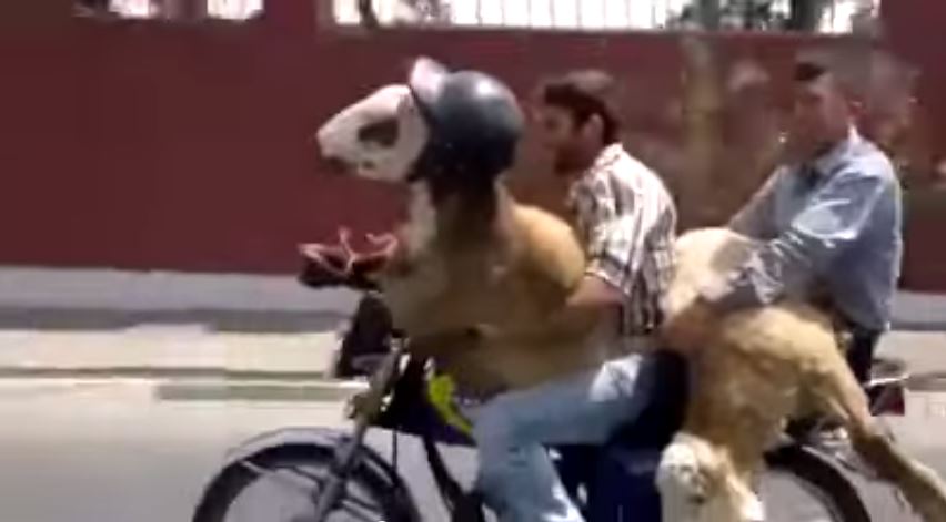 BINTEO-Νομίζετε ότι τα έχετε δει όλα;