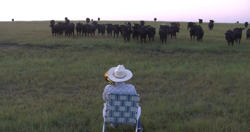 ΒΙΝΤΕΟ-Ο βοσκός με την… τρομπέτα