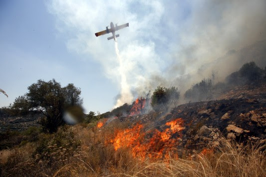 Πυρκαγιά σε ελατόδασος στη Λαμία