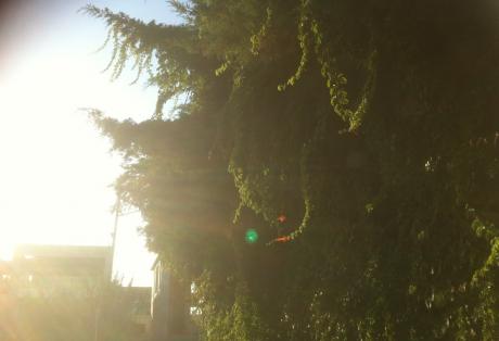 ΦΩΤΟ-Αυτό το φανάρι το βλέπεις μόνο όταν ανάψει πράσινο