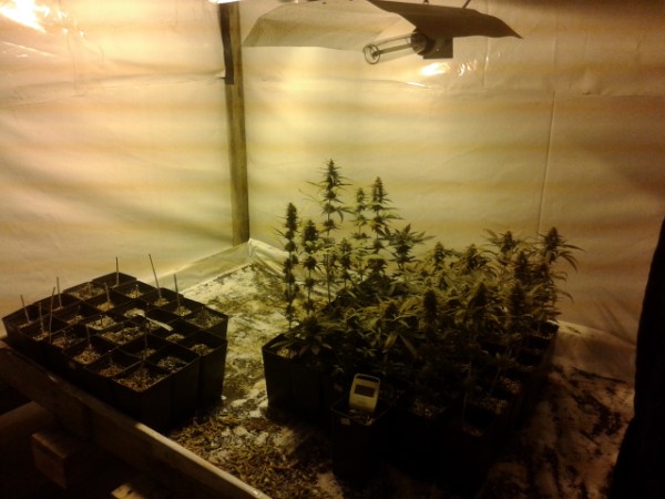 Συνελήφθησαν πατέρας και γιος στην Κρήτη