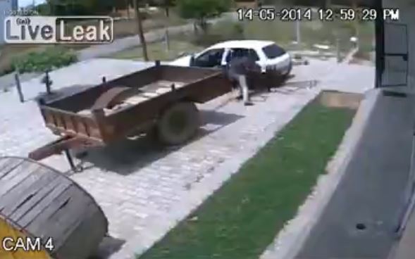 BINTEO-Έκλεψε αγελάδα και την έβαλε σε ΙΧ