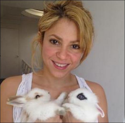 ΦΩΤΟ-Τα αγαπημένα κατοικίδια των σταρ