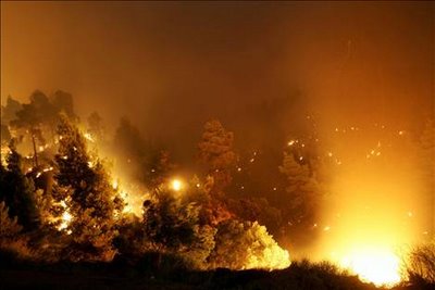 Πυρκαγιά στο Ληξούρι