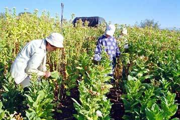 Ολοκληρώθηκε η απογραφή των αδιάθετων προϊόντων από το εμπάργκο