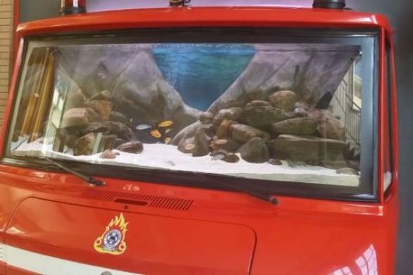 BINTEO-Μετέτρεψαν πυροσβεστικό σε ενυδρείο