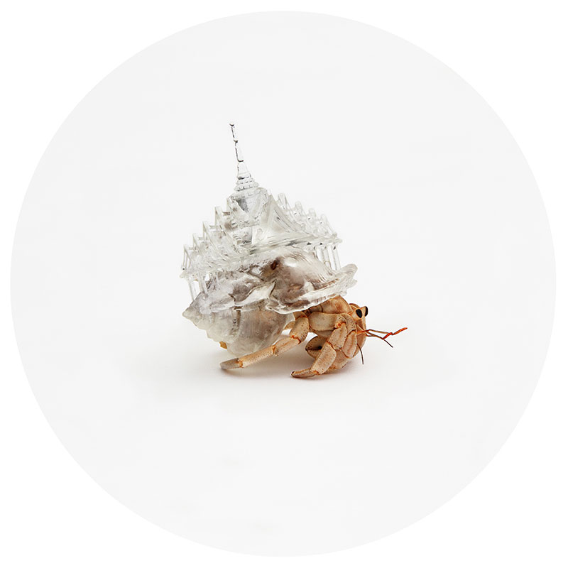 hermit crab glass city by aki inomata thailand