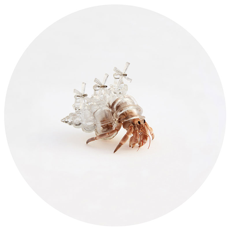 hermit crab glass city by aki inomata windmill