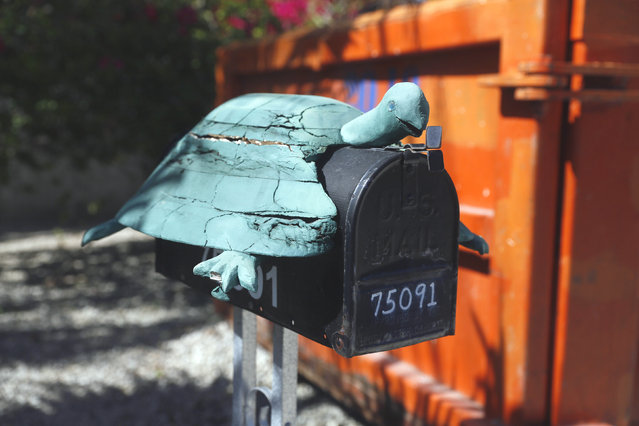 perierga.gr - Τα ασυνήθιστα γραμματοκιβώτια της Φλόριντα!