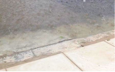 ΦΩΤΟ-Πλημμύρισε το Μεσολόγγι