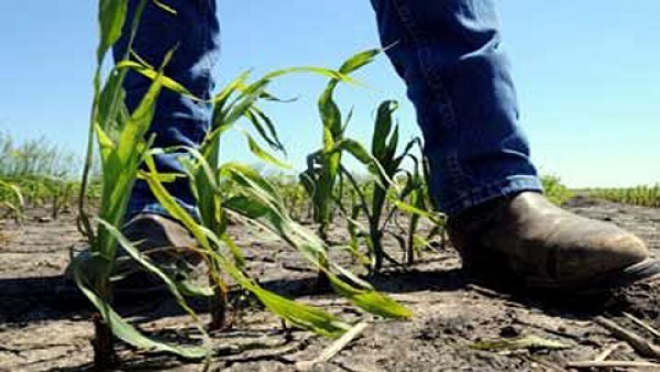 Βρυξέλλες: Καμία συνέπεια για τους Έλληνες παραγωγούς