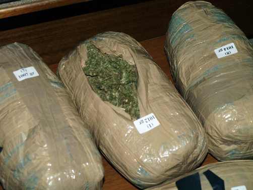 Θεσπρωτία-Σύλληψη 23χρονου για μεταφορά και εμπορία κάνναβης