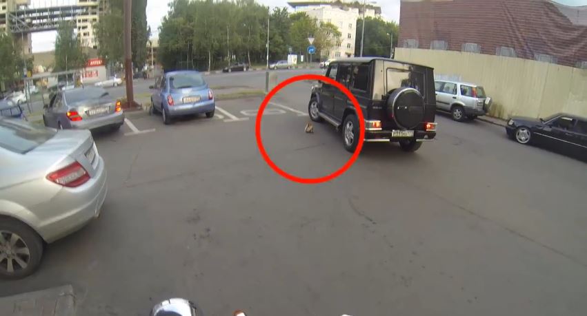 ΒΙΝΤΕΟ-Η “τιμωρός” αναβάτης των δρόμων