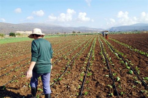 ΕΛΓΑ: Ποιοι αγρότες δικαιούνται οικονομική ενίσχυση