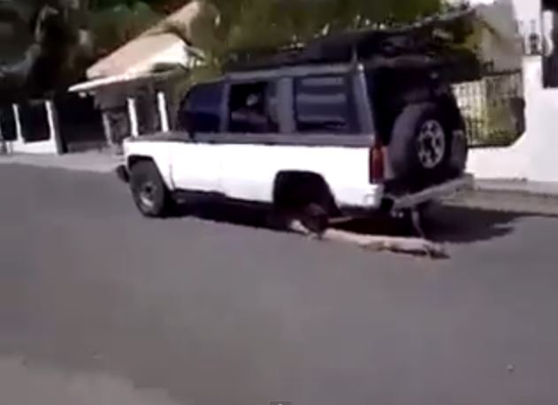 ΒΙΝΤΕΟ-Ξύλο αντί… ρεζέρβας