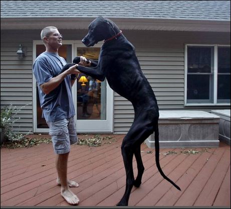 ΦΩΤΟ-Πέθανε ο ψηλότερος σκύλος στον κόσμο