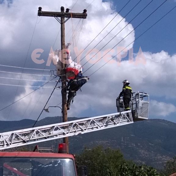 ΦΩΤΟ-Αλεξιπτωτιστής στην… κολώνα