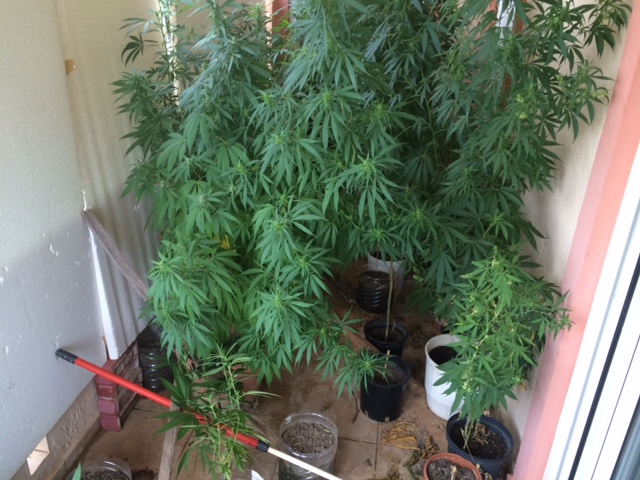 ΦΩΤΟ-Είχαν αρχαία και ναρκωτικά