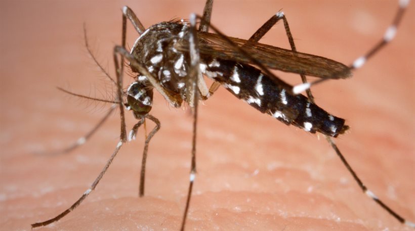 Νεκρή ηλικιωμένη από τον ιό του δυτικού Νείλου