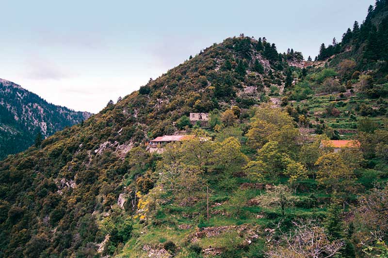 Την έσπρωξε στο γκρεμό γιατί του έθιξε τον ανδρισμό