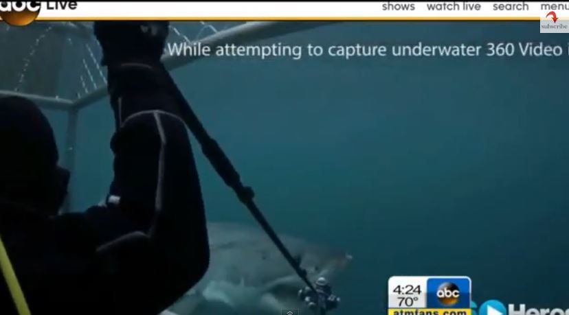 ΒΙΝΤΕΟ-Ο καρχαρίας έφαγε την πανάκριβη κάμερα