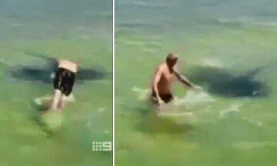 ΒΙΝΤΕΟ-Αληθινό ή ψεύτικο το σαλάχι που επιτίθεται;