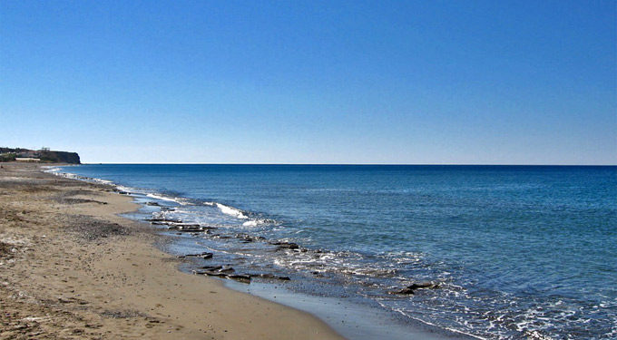 ΦΩΤΟ-Η θάλασσα ξέβρασε νεκρό ταύρο