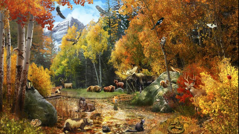 BINTEO-Ποιο ζώο μπορεί να περιστρέψει το κεφάλι του;