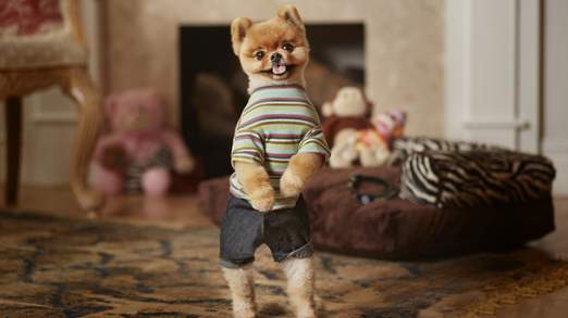 ΒΙΝΤΕΟ-Το πομεράνιαν με δυο παγκόσμια ρεκόρ