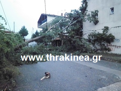 Πτώσεις δέντρων μετά από καταιγίδα στην Ορεστιάδα