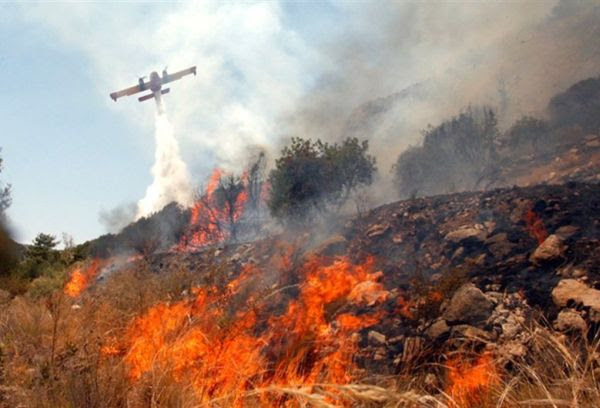 Πυρκαγιά σε εξέλιξη κ��ντά στη Λαμία