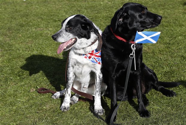 “Θρίλερ” με το δημοψήφισμα για την ανεξαρτησία της Σκωτίας