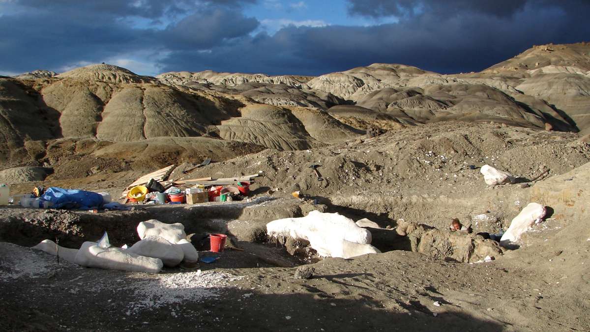 ΦΩΤΟ-Ο μεγαλύτερος δεινόσαυρος που περπάτησε ποτέ στη γη