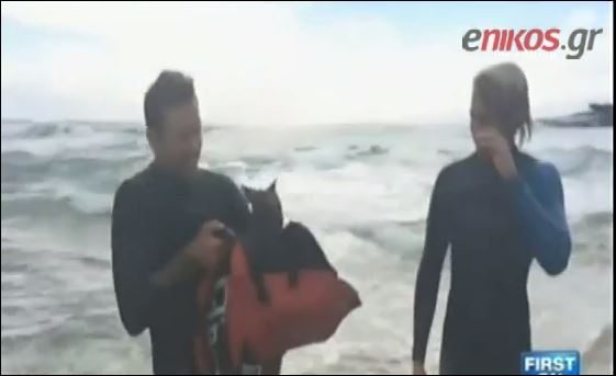 ΒΙΝΤΕΟ-Καγκουρό σώθηκε από σέρφερ