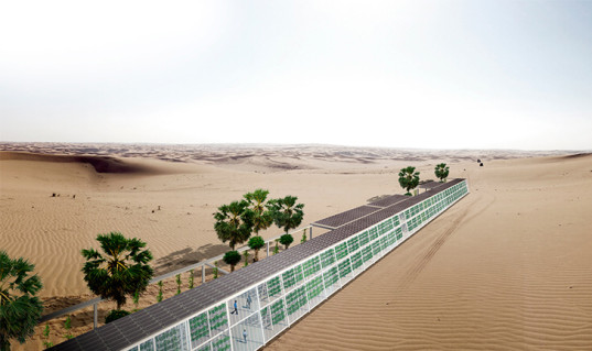 Ένα μποστάνι στην αραβική έρημο