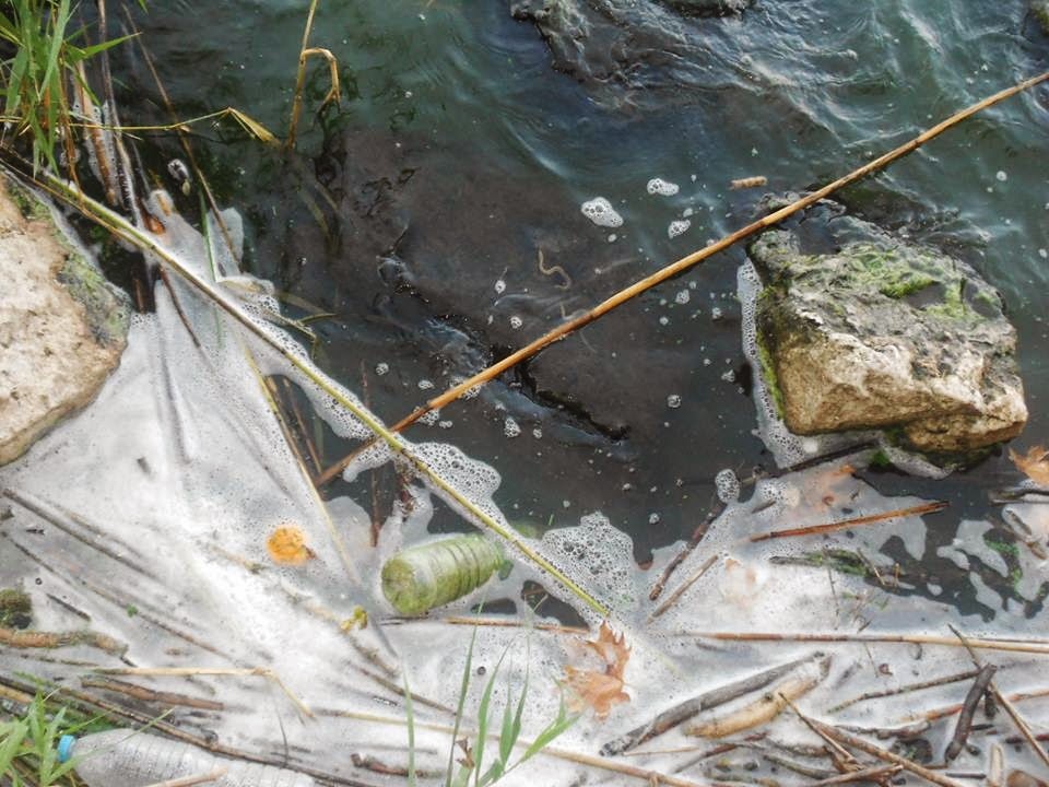 ΦΩΤΟ-Γεμάτη αφρούς η λίμνη των Ιωαννίνων