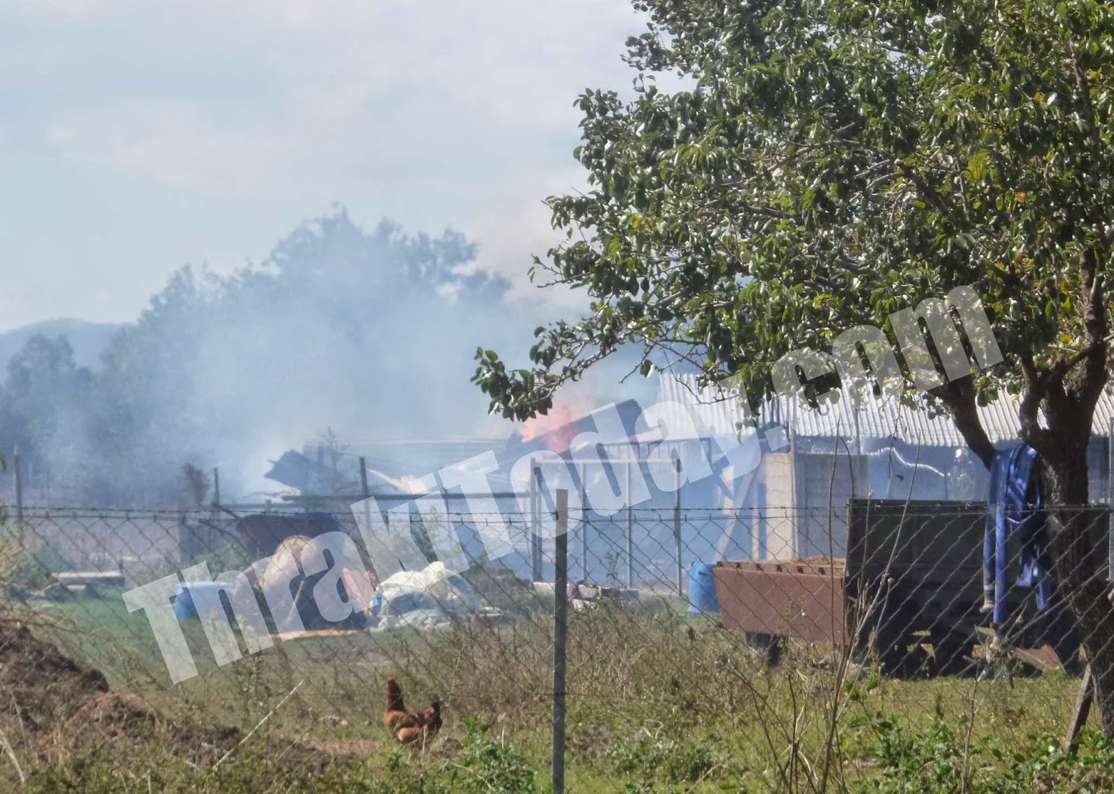 ΦΩΤΟ-Ξάνθη-Τυλίχθηκε στις φλόγες κτηνοτροφική μονάδα