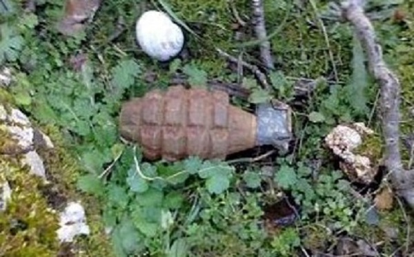 Εξουδετέρωση χειροβομβίδας στα Bλυζιανά