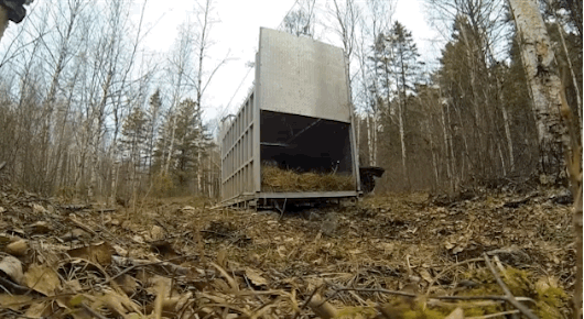 ΒΙΝΤΕΟ-Το πρώτο βήμα στην ελευθερία