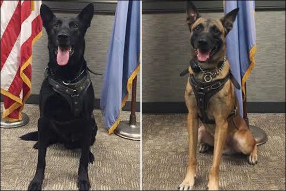 ΦΩΤΟ-Αυτοί είναι οι «προστάτες» του Λευκού Οίκου