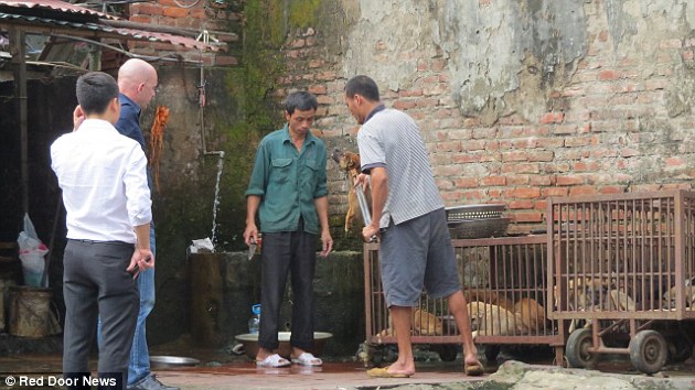 ΒΙΝΤΕΟ ΣΟΚ-Αγορά σκυλίσιου κρέατος στο Βιετνάμ