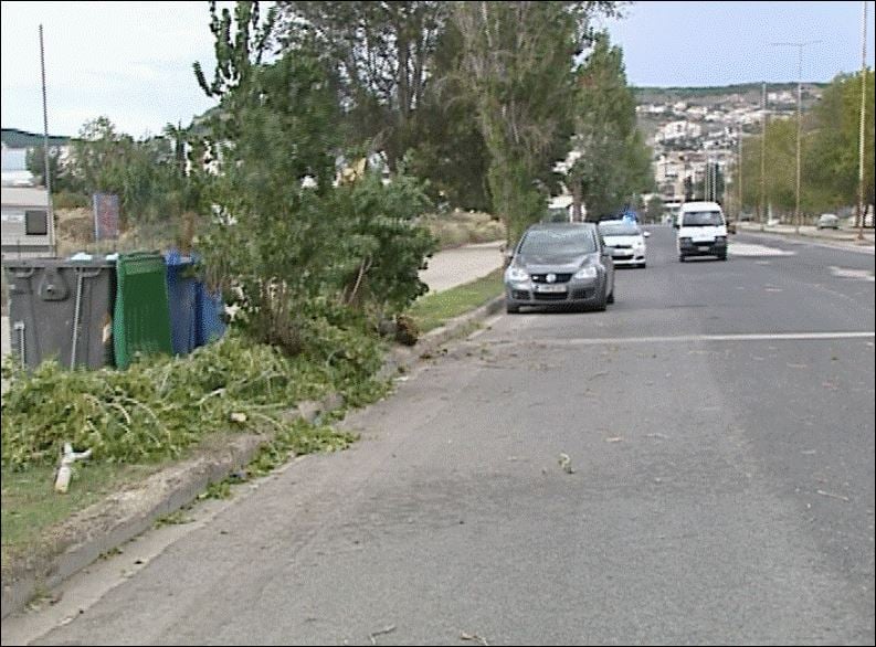 ΒΙΝΤΕΟ-Έπεσαν δέντρα στη Λαμία από τους ισχυρούς ανέμους