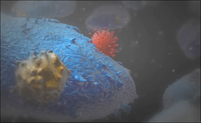 ΒΙΝΤΕΟ-Η επίθεση του Έμπολα σε animation