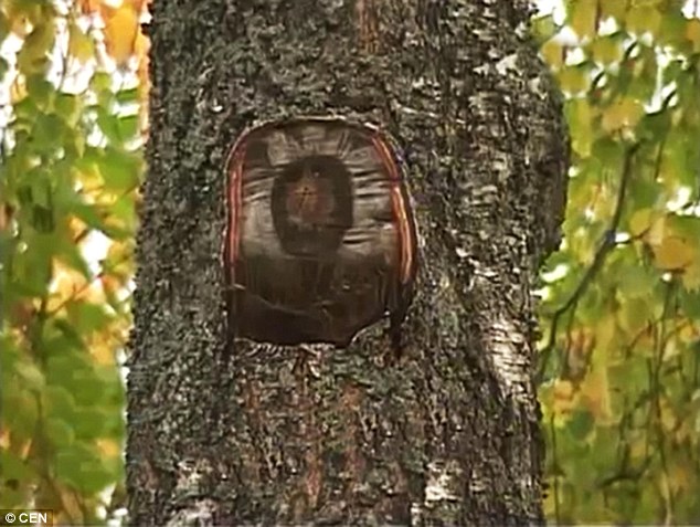ΒΙΝΤΕΟ-Το βλέπουν σαν… σημάδι του Θεού