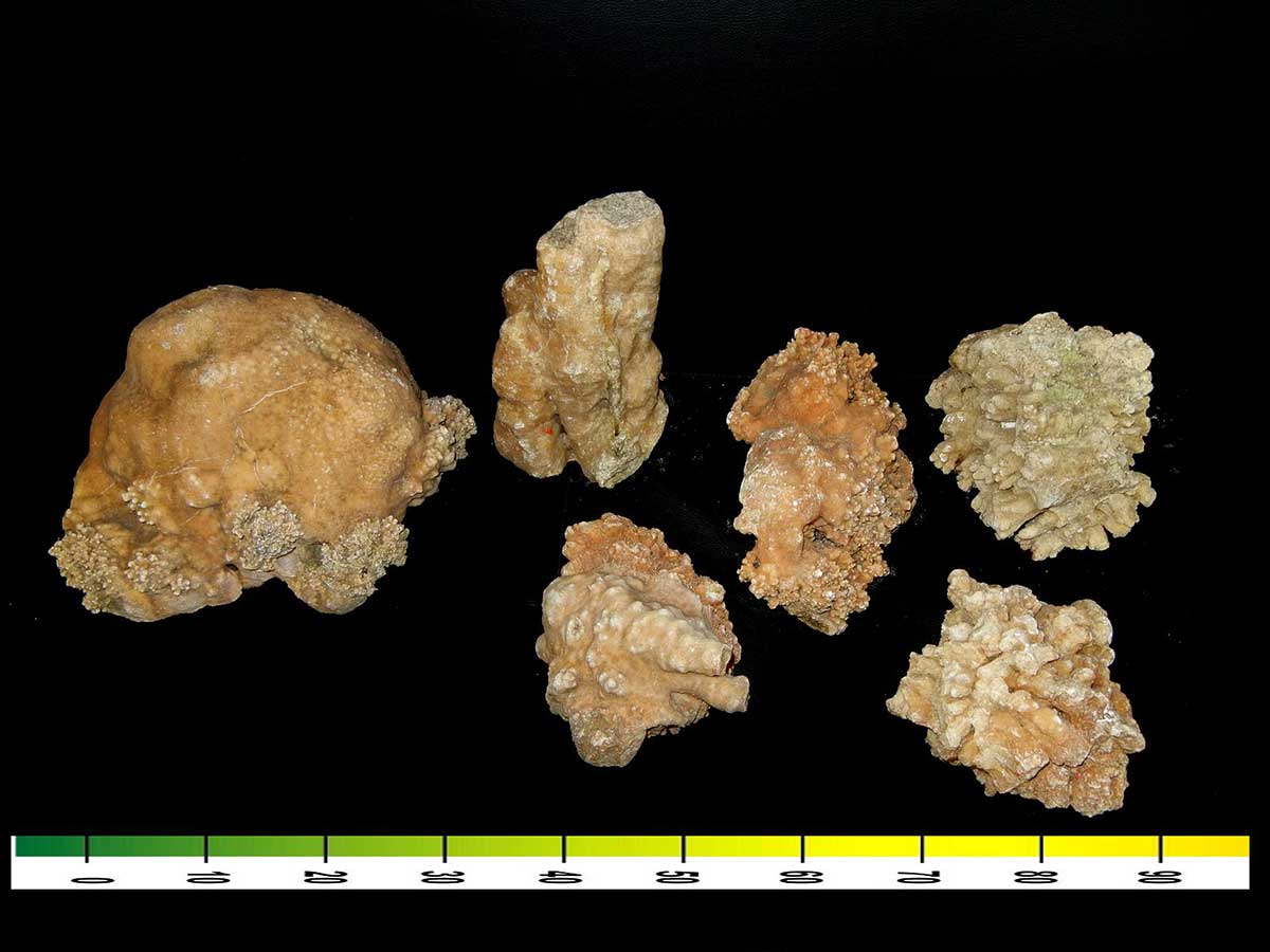 ΦΩΤΟ-82χρονος έκρυβε στο σπίτι του αρχαία και όπλα