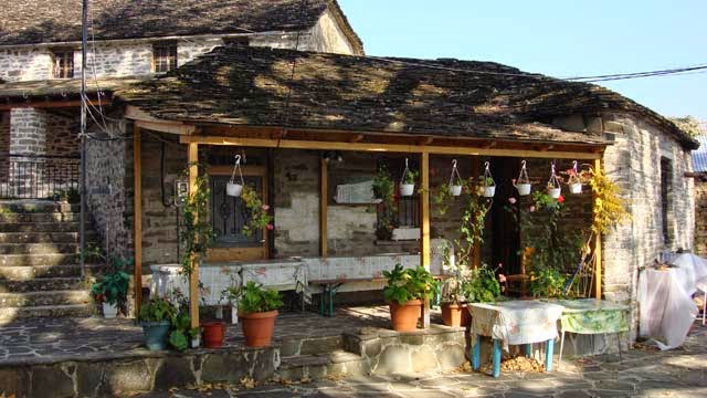 Αρκούδα “επισκέφτηκε” καφενείο στα Ζαγοροχώρια